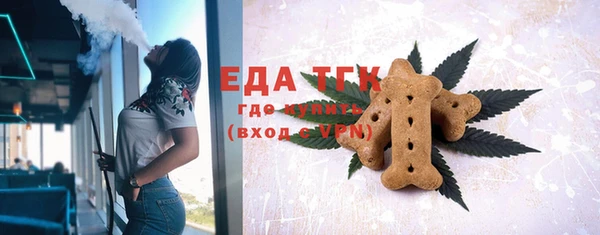 тгк Ельня