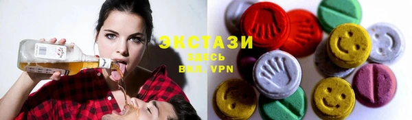 тгк Ельня