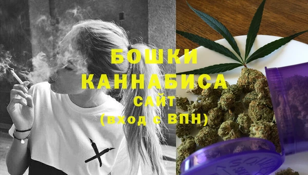 тгк Ельня