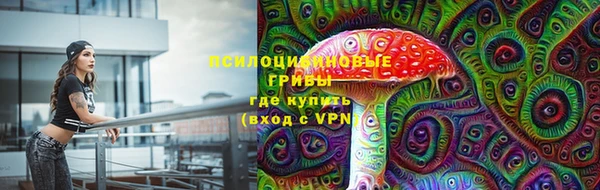 марки lsd Елизово