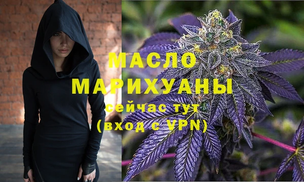 тгк Ельня
