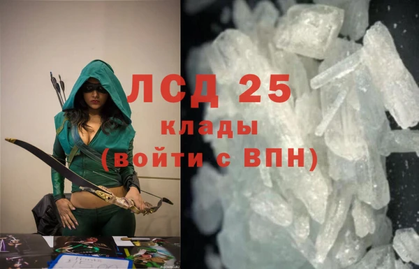 тгк Ельня