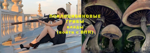 ALPHA PVP Киренск