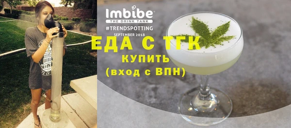тгк Ельня